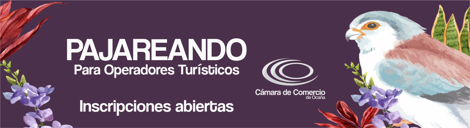 Lee más sobre el artículo PAJAREANDO (OPERADORES TURÍSTICOS)