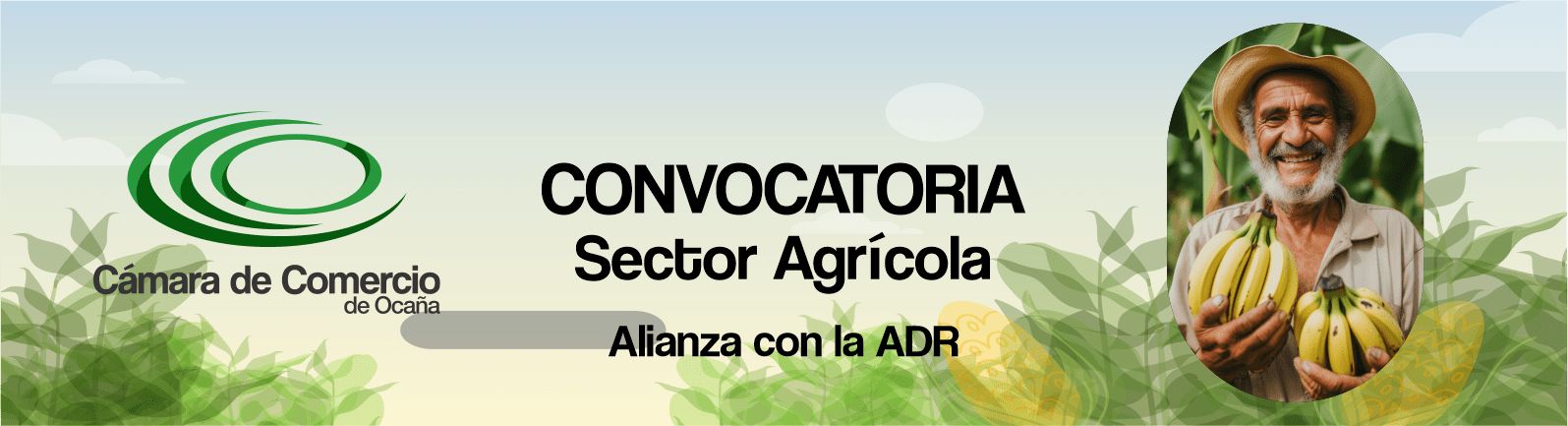 Lee más sobre el artículo CONVOCATORIA PARA ASOCIACIONES DEL SECTOR AGRÍCOLA