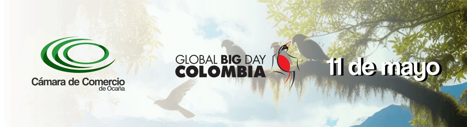 Lee más sobre el artículo GLOBAL BIG DAY