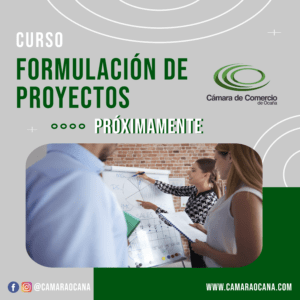 FORMULACIÓN DE PROYECTOS_1