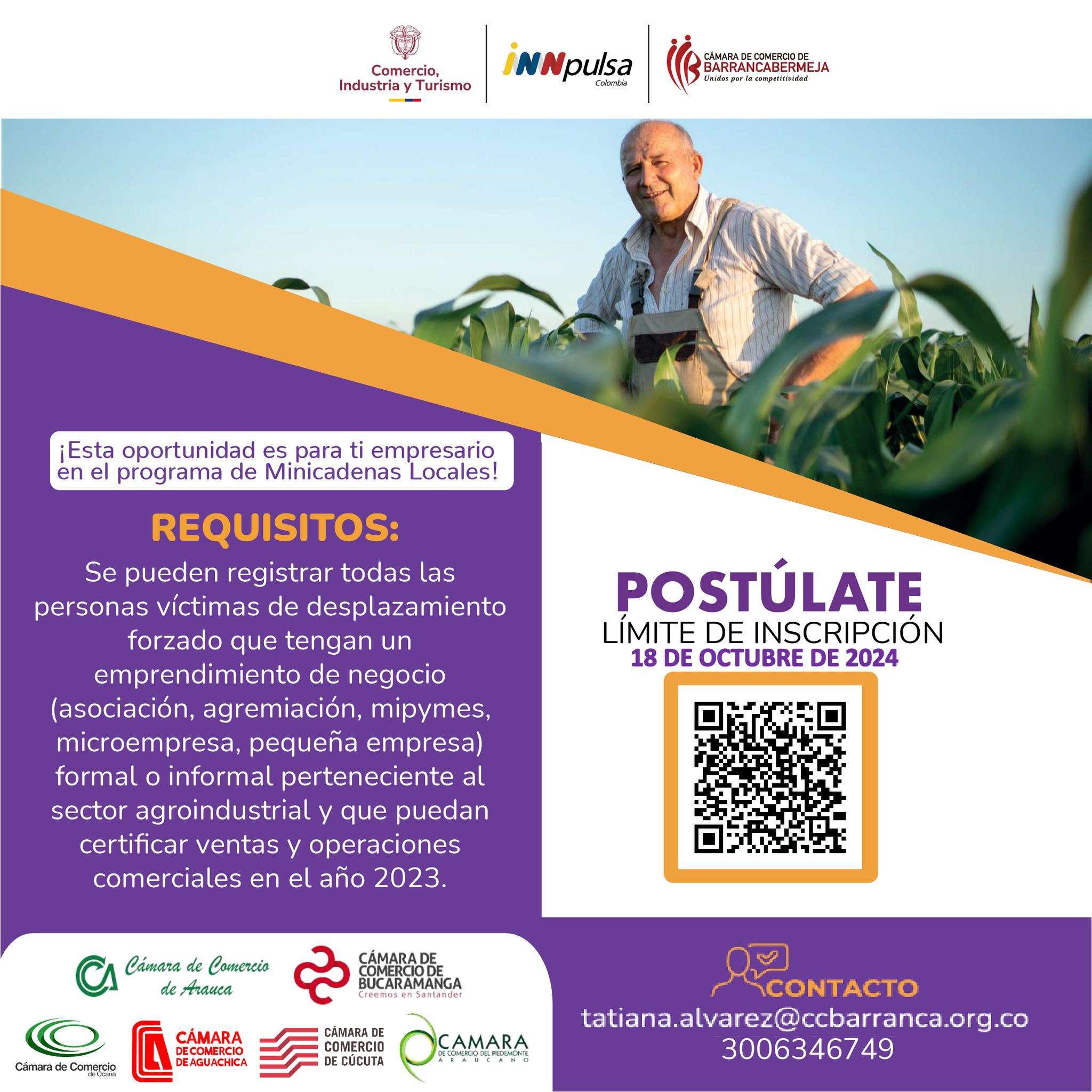 minicadenas
