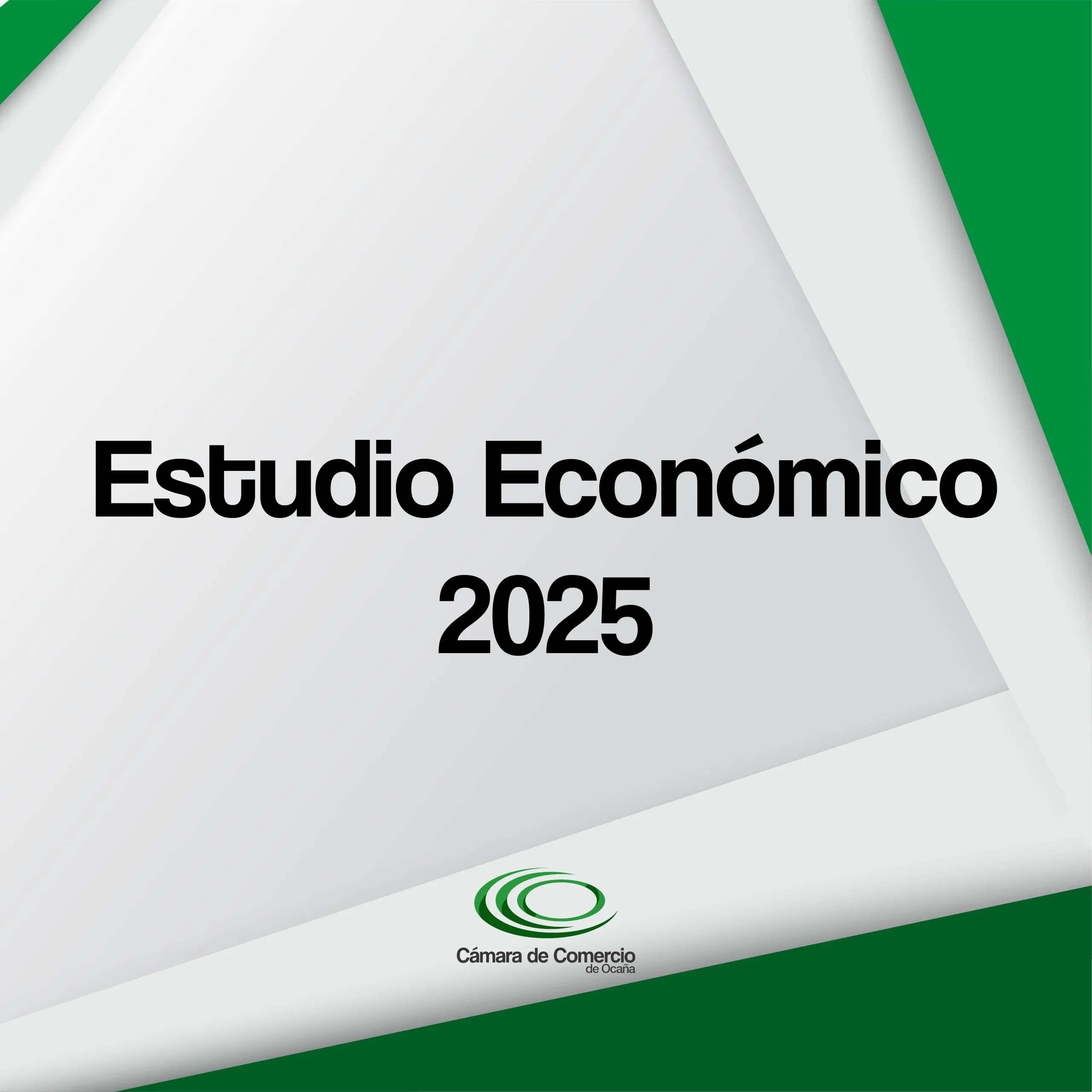 Lee más sobre el artículo Estudio económico para el año 2025